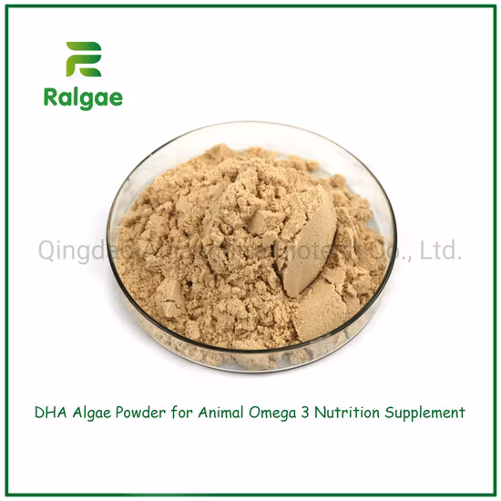 Nature Microalgae Schizochytrium DHA Algenpulver für Haustiermehlzusatz CAS6217