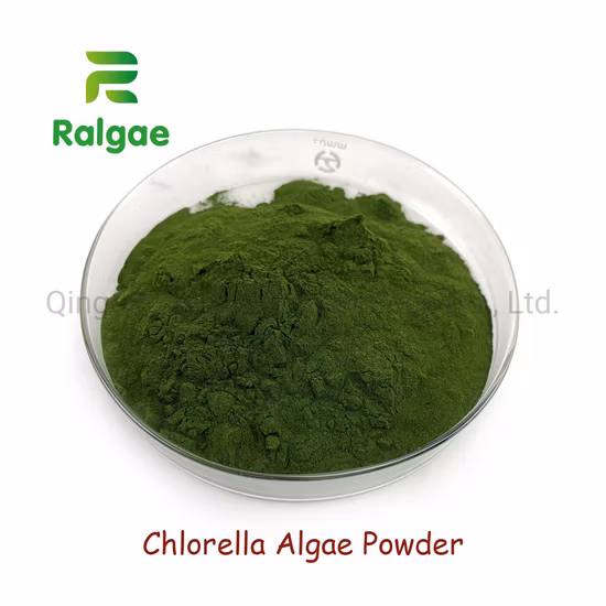 Chlorella-Algenpulver, natürliche Mikroalgenextraktion in Futterqualität, proteinreiche Chlorella