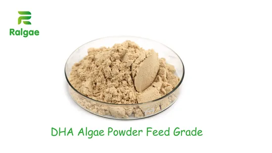 Mikroalgen Schizochytrium DHA Algenpulver 18 % DHA für Tierfutter DHA-Zusatzstoff CAS6217