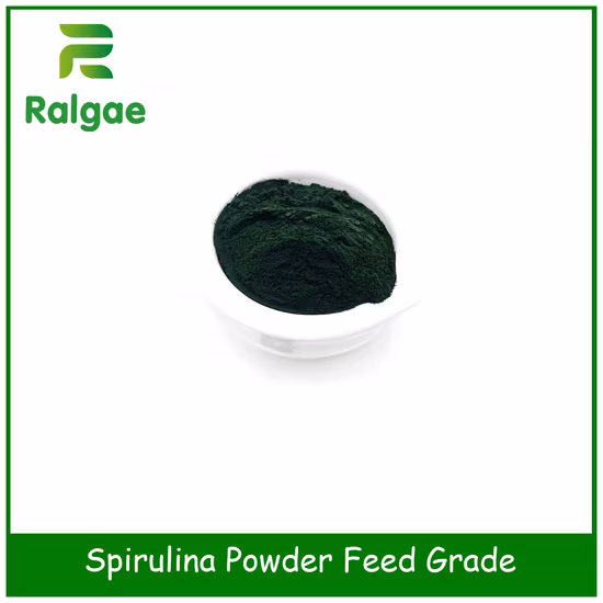 Natürliche Algen-Spirulina-Futterqualität für Livstock CAS 724424