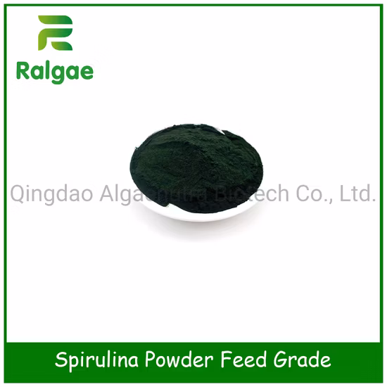 Eierschichten-Geflügel-Wachstums-Nahrungs-Zufuhr-Zusatzstoff natürliches Spirulina CAS 724424