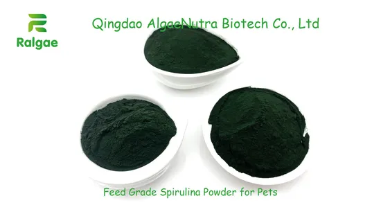 Natürliches grünes Spirulina-Pulver aus Mikroalgen in Futterqualität für Pferdeproteinergänzungen